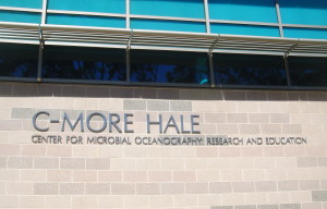 CMORE_Sign_1
