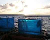 photo of incubator and sunset