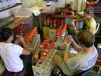photo of prepping sed traps