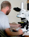 Photo of Jason Hilton at microscope.