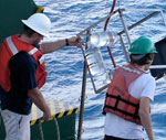 Photo of array being deployed.