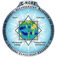 Classic C-MORE logo image