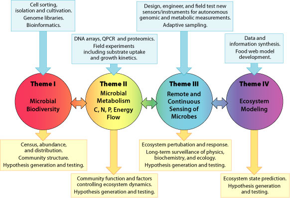 Graphic of four C-MORE research themes.