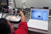 photo of teacher using microscope