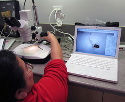 Teacher using video microscope.