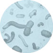 image of assorted microbes