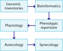 Graphic of figure showing seqencing of genomic inventories to synecology.