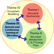 Graphic showing relationship between C-MORE themes.