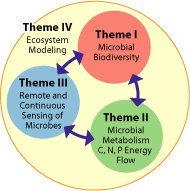 Graphic showing relationship between C-MORE themes.